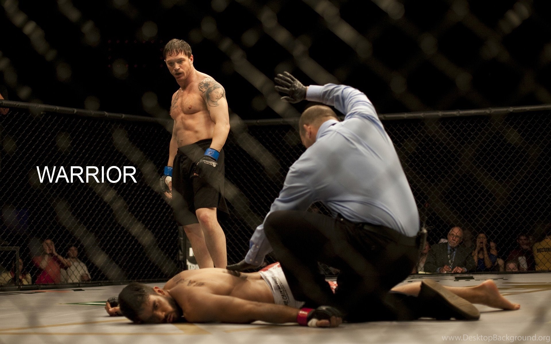 Combattenti UFC gabbia ottagono, 1920x1200 WUXGA, Laptop