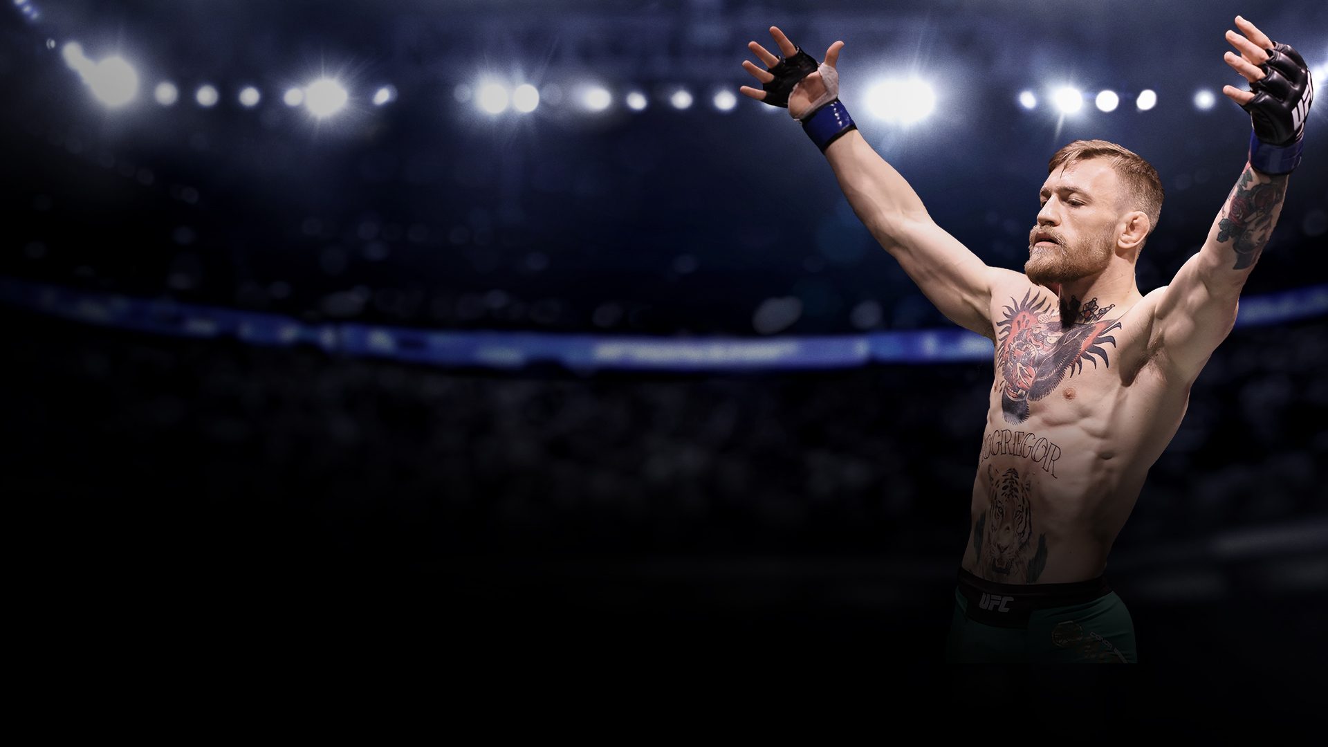 Lottatore UFC braccia alzate arena, 1920x1080 Full HD 1080p, Desktop