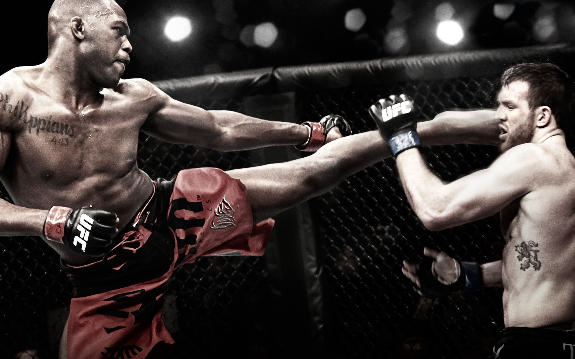 Combattenti UFC in gabbia, 1920x1200 Full HD+ WUXGA, Desktop