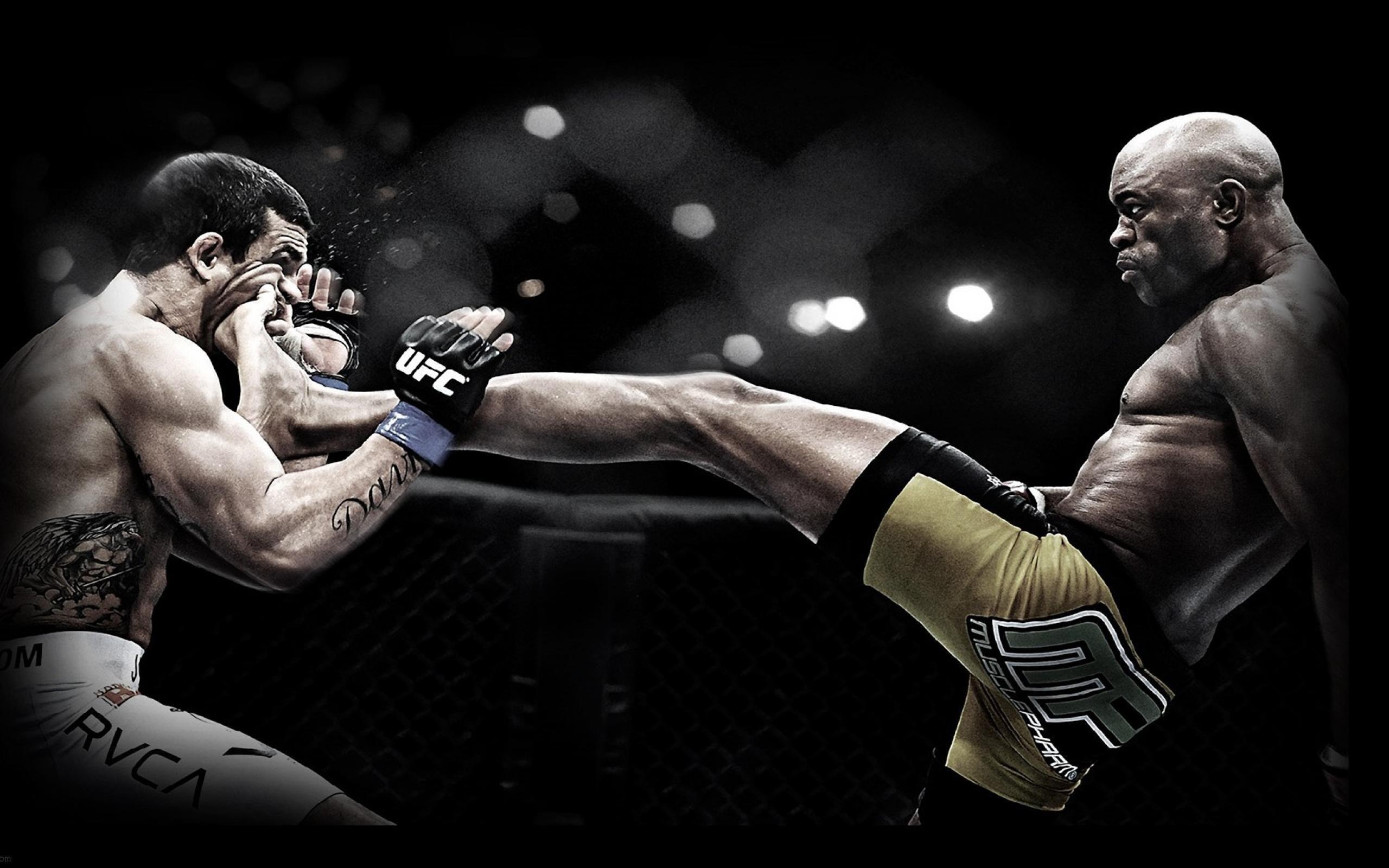 Lottatori UFC in combattimento, 2560x1600 2K+, Desktop