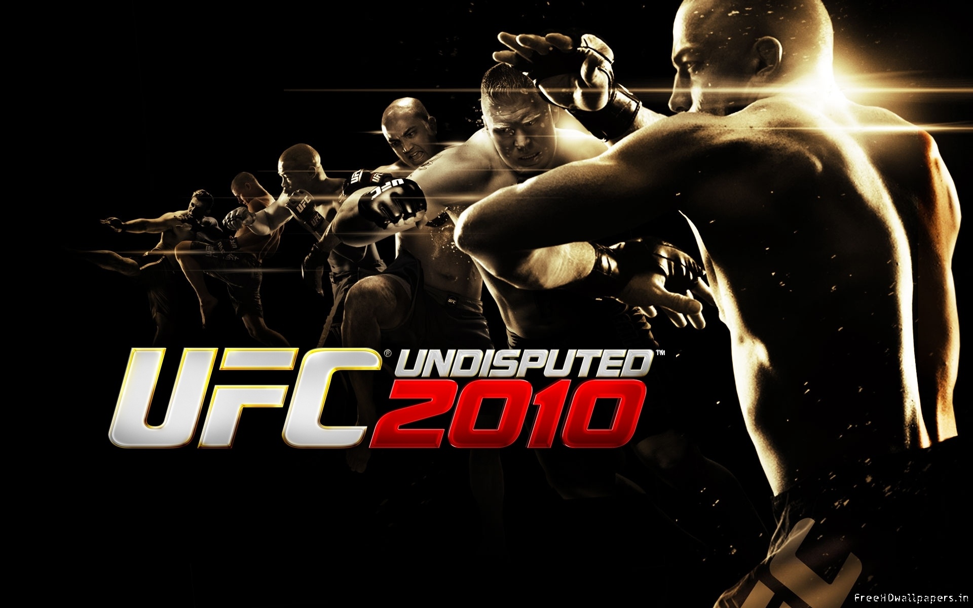 UFC Undisputed 2010 logo, 1920x1200 Full HD+, Desktop
