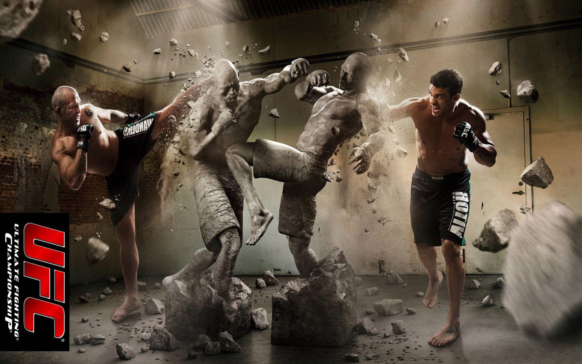 Lottatori UFC statua distrutta, 1920x1200 Full HD+, PC Desktop