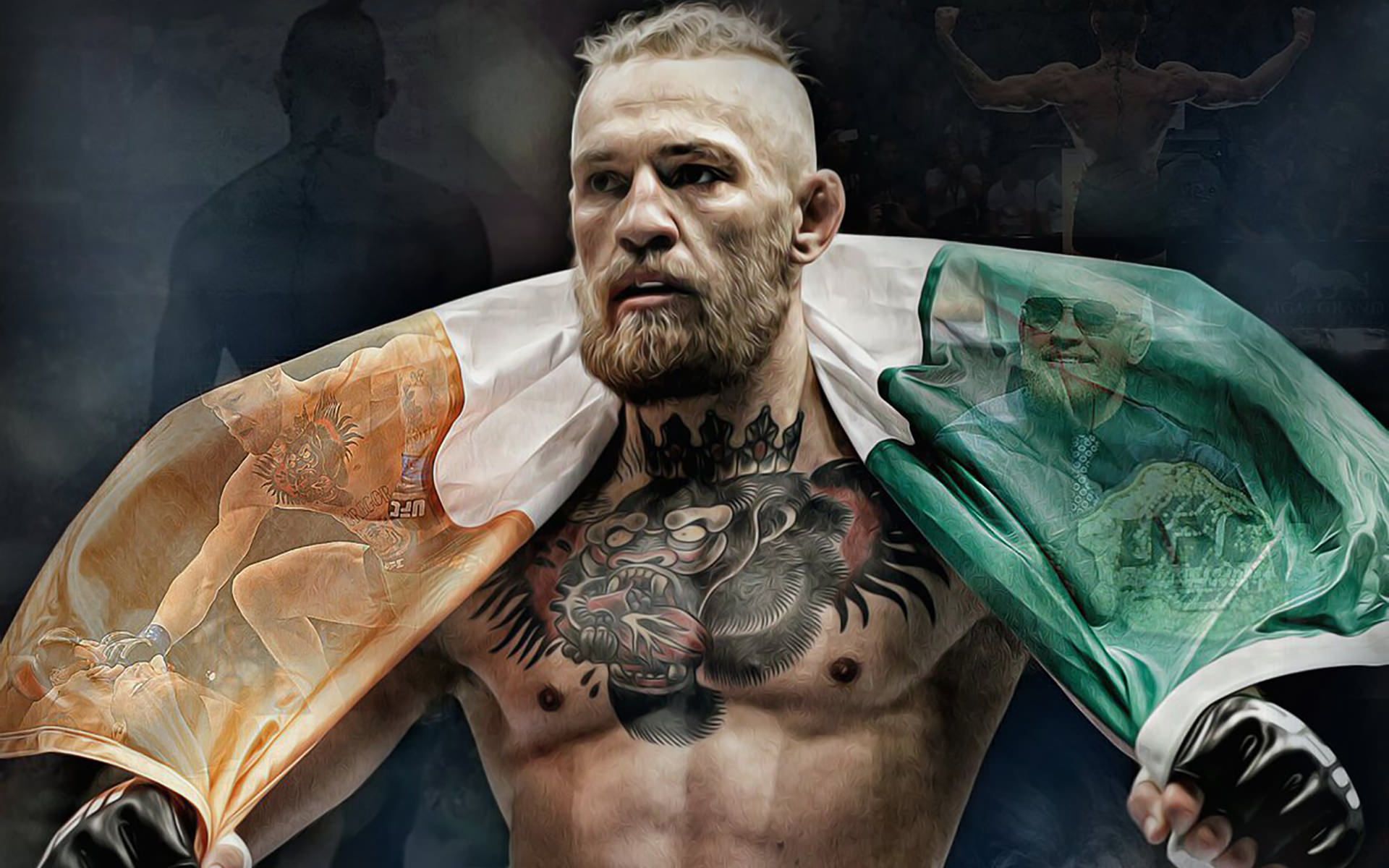 Conor McGregor bandiera irlandese, UFC, 1920x1200 Full HD+ WUXGA, Laptop