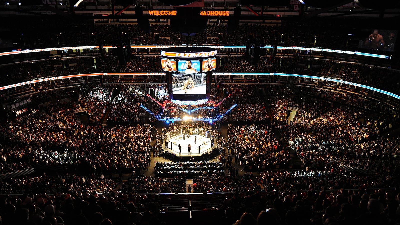 Arena UFC gremita di pubblico, 1600x900 HD, PC Desktop
