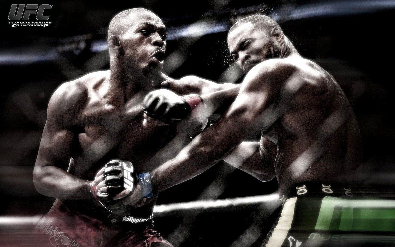 Lottatori UFC in combattimento, 1680x1050 HD Ready, Laptop