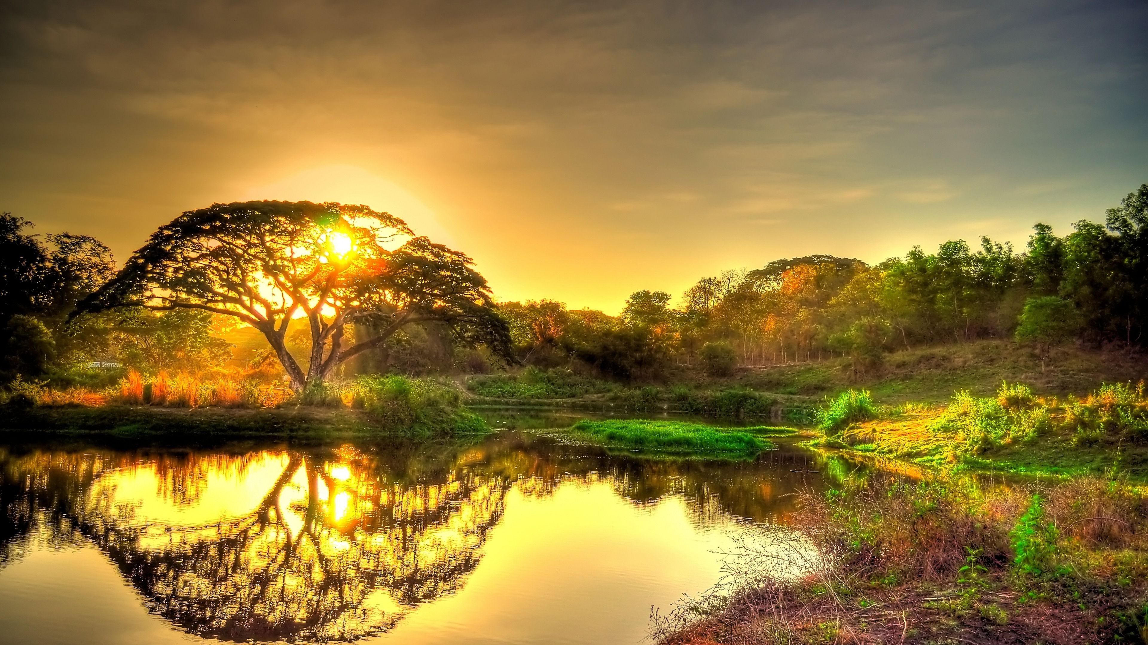 Tramonto dorato lago alberi, 3840x2160 UHD, PC 4K