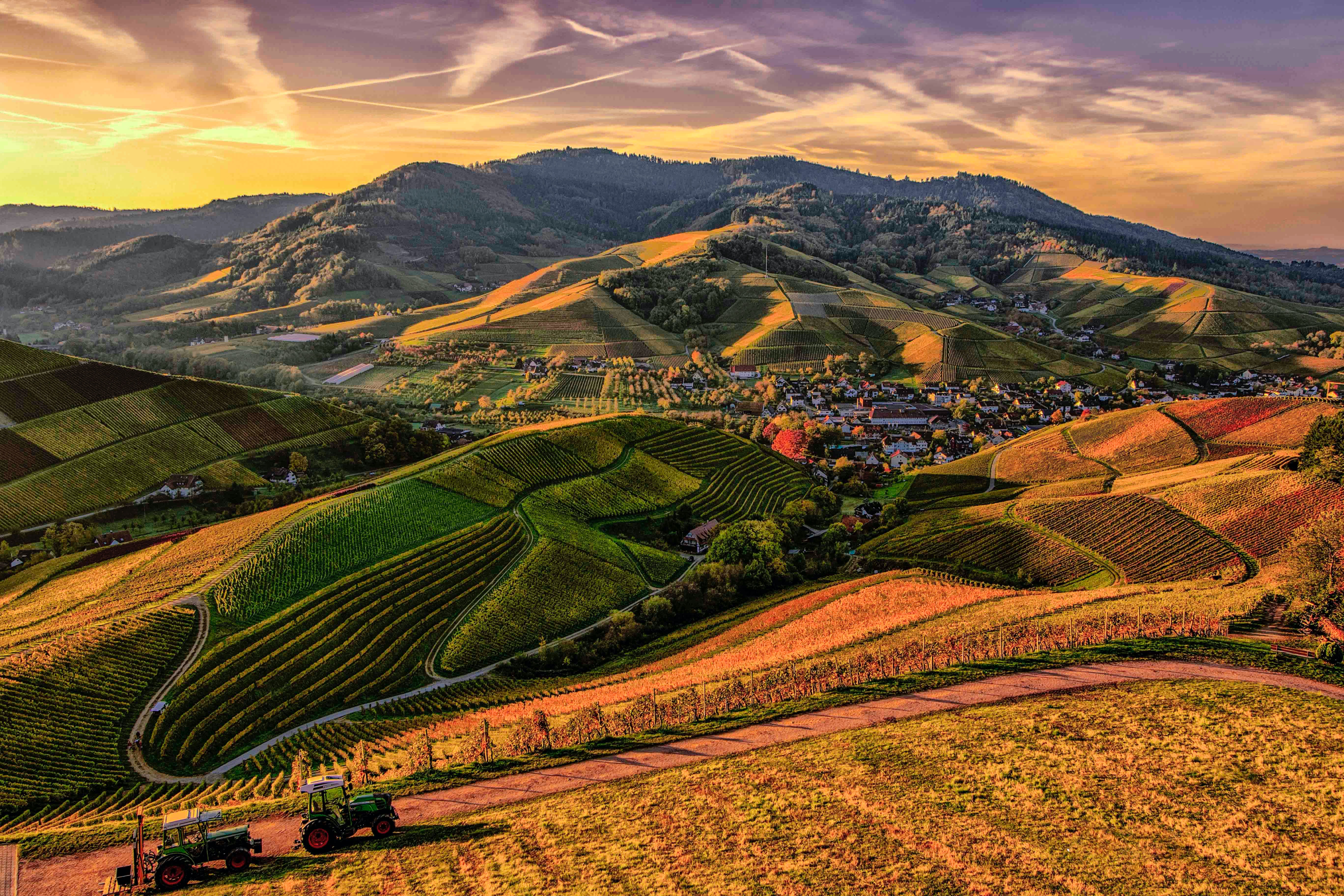 Colline vigneti al tramonto, 5472x3648 UHD, PC 4K
