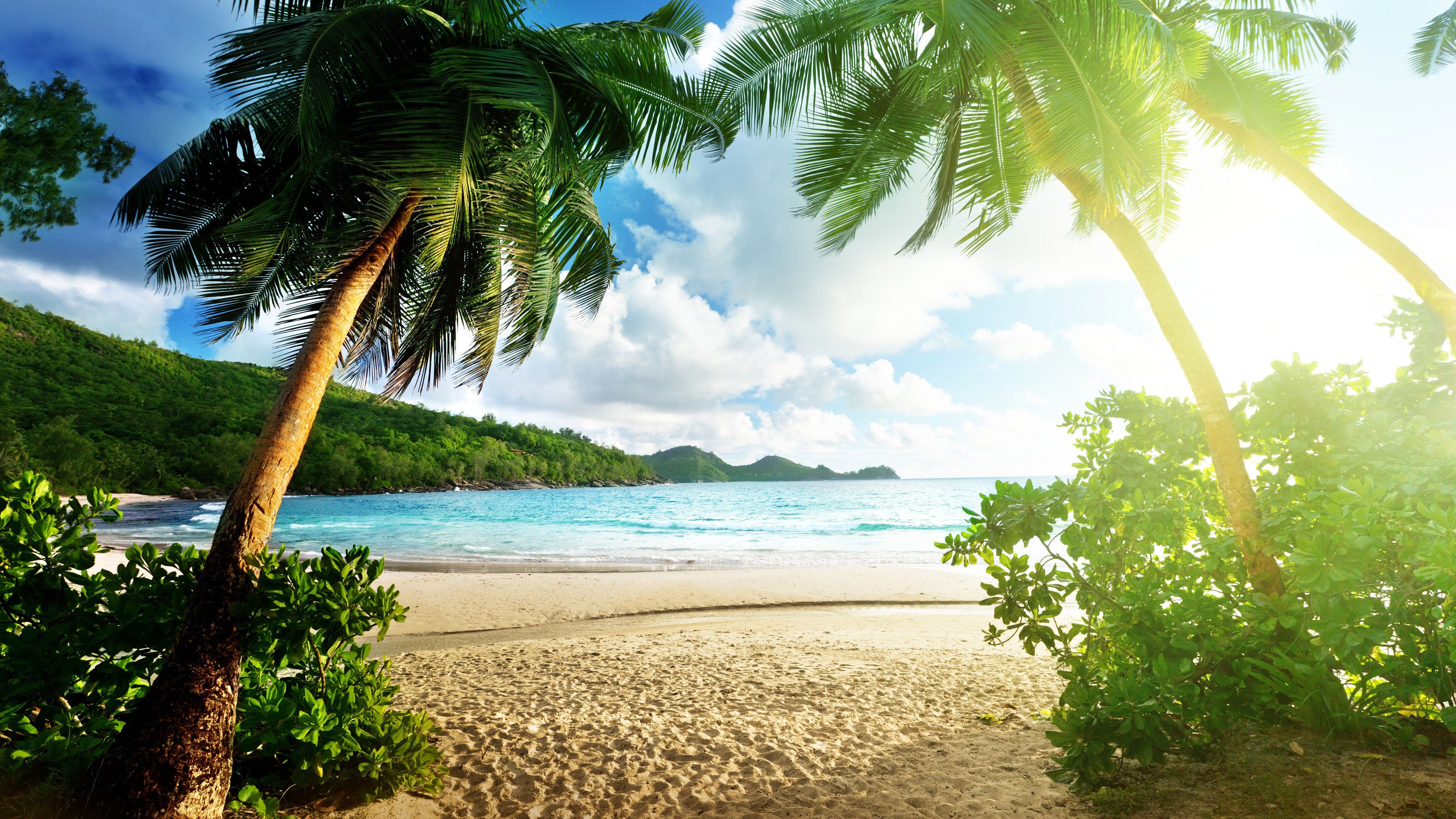 Spiaggia tropicale con palme, 3840x2160 Ultra HD, 4K TV