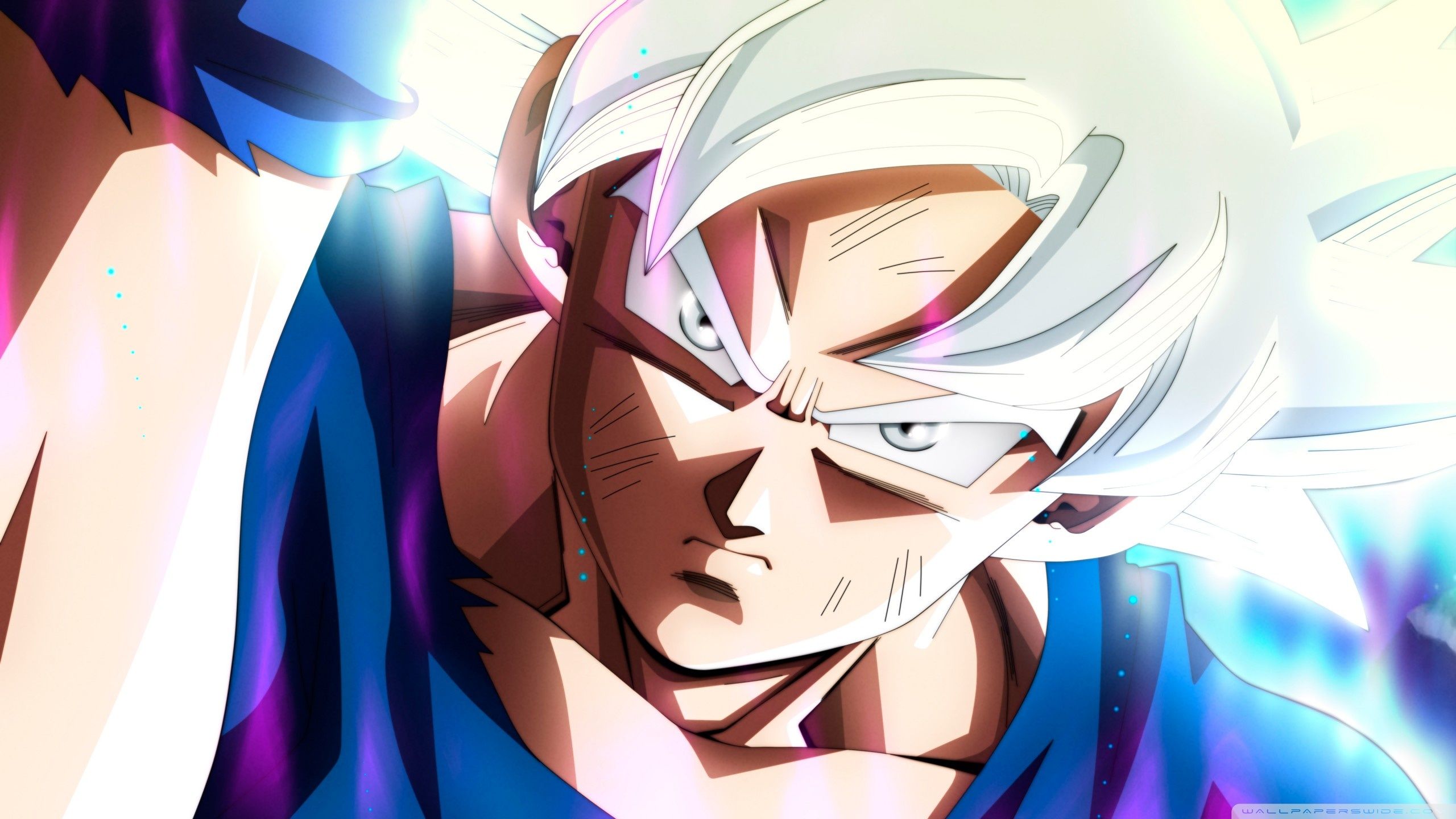 Goku Ultra Istinto Dragon Ball, 2560x1440 2K, Desktop