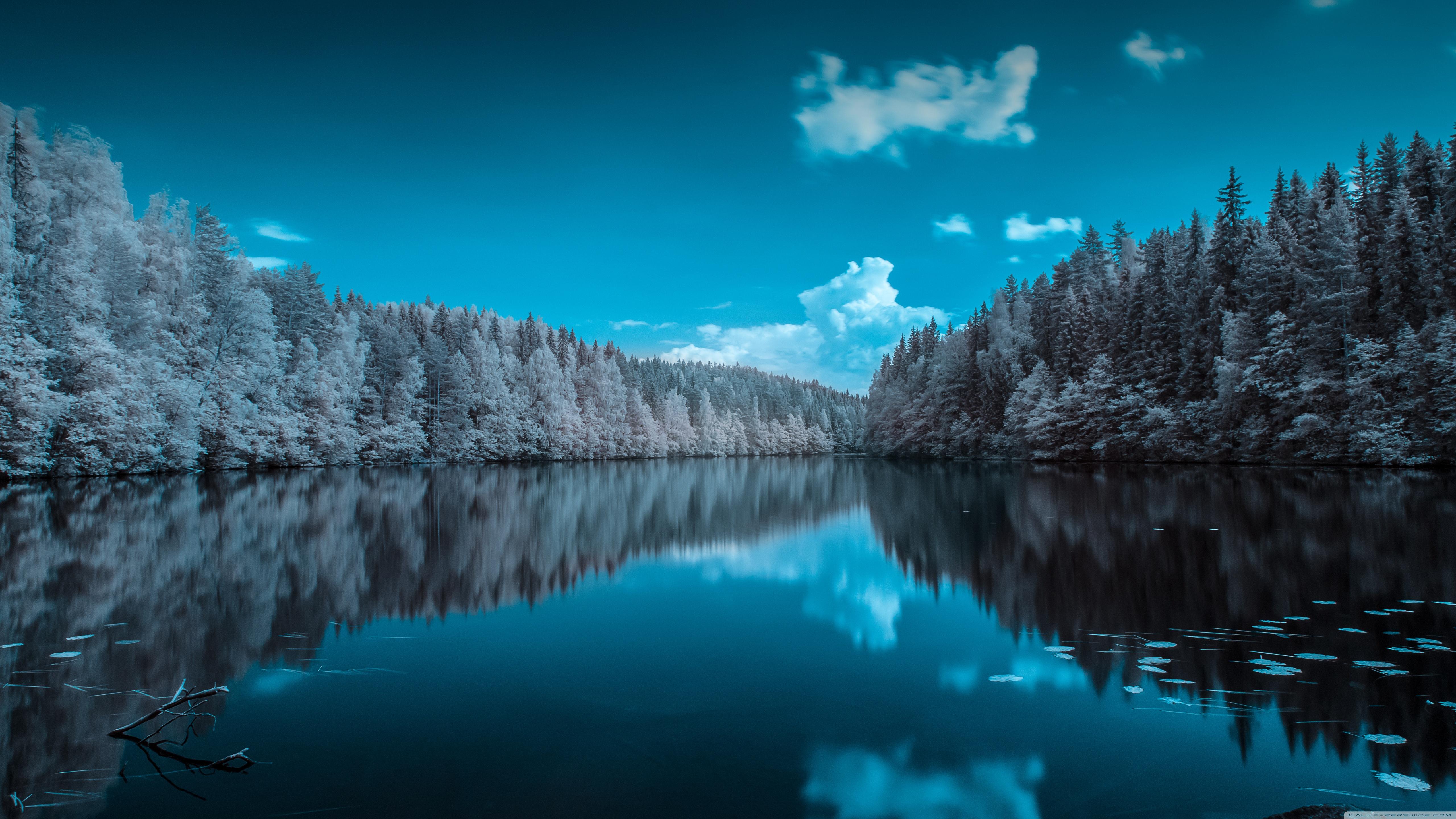Lago blu con foresta infrarossa, 5120x2880 UHD, PC 4K