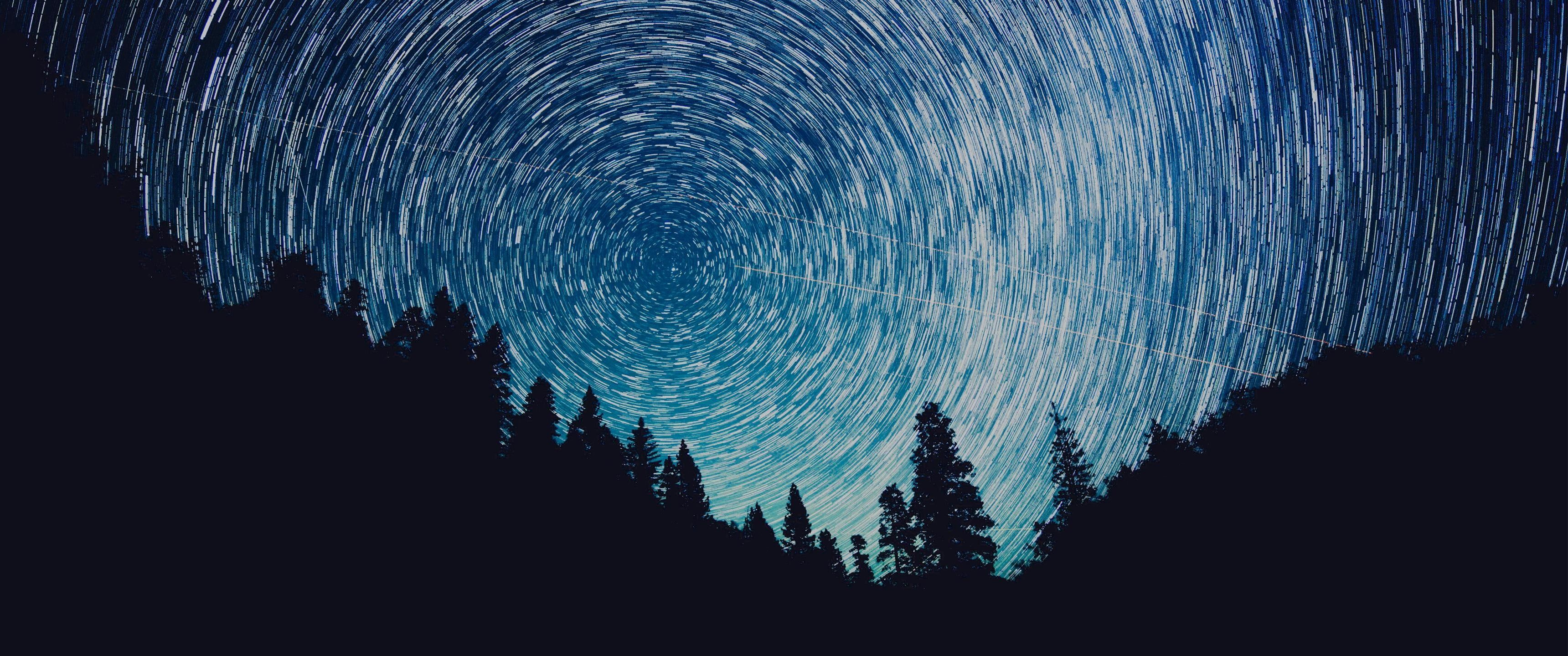 Sagome alberi cielo notturno startrail, 3440x1440 Panoramico, Dual Screen