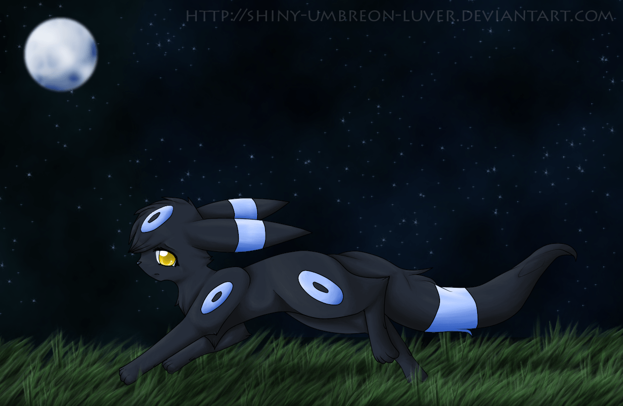Umbreon Shiny Pokemon notturno, creature tascabili, 1280x800 HD, Desktop