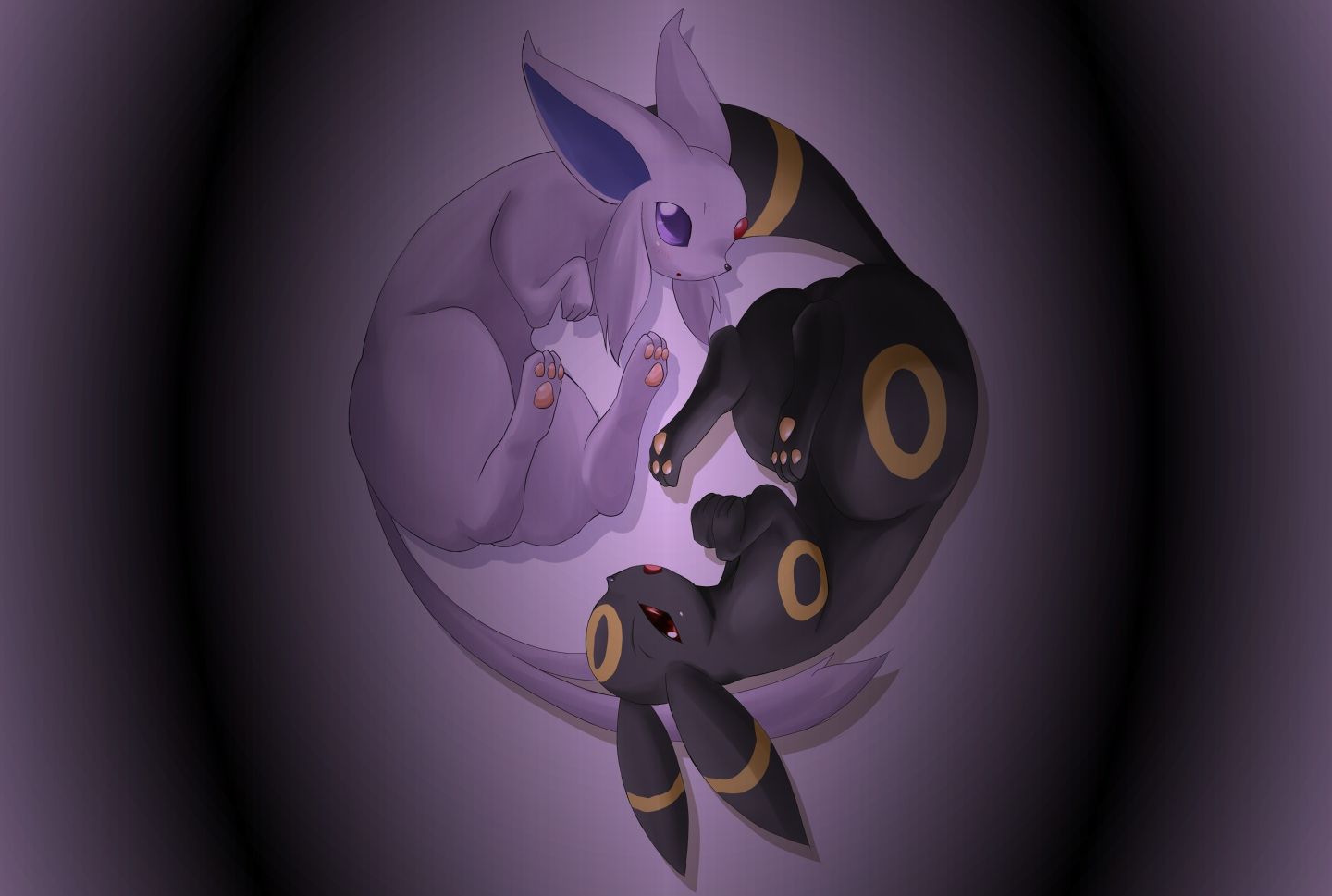 Umbreon shiny e Espeon viola, 1440x969 HD, ROG Asus Laptop