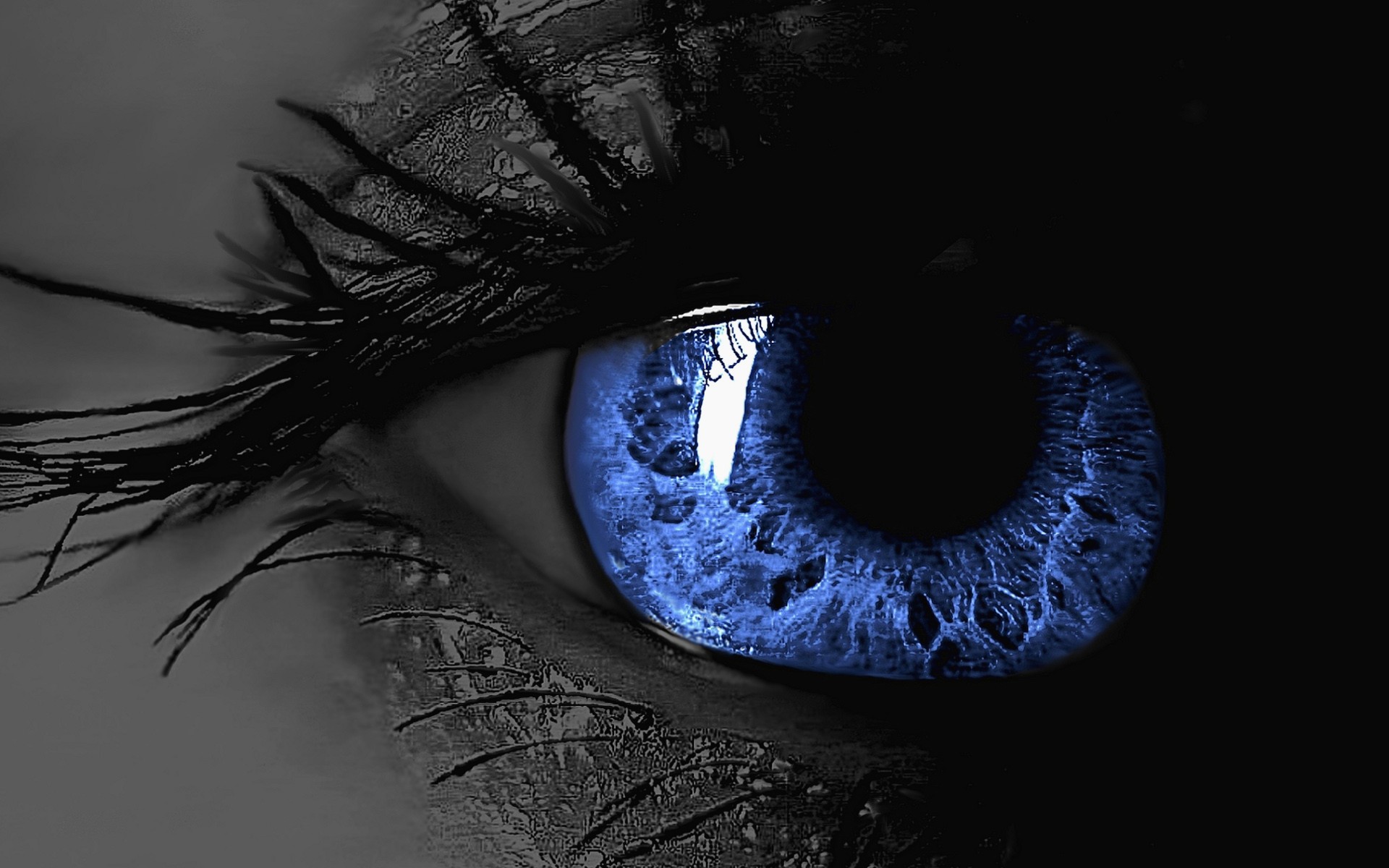 Occhio blu ravvicinato, 1920x1200 Full HD+ WUXGA, Desktop