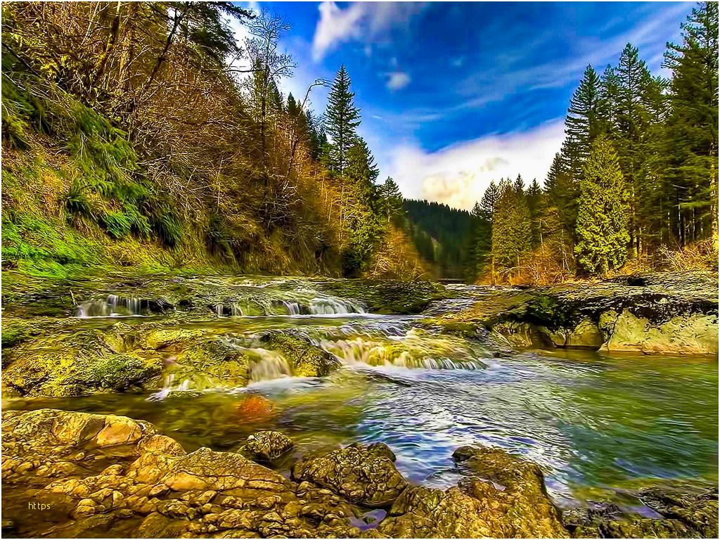 Fiume roccioso nella foresta, 1024x768 HD, Laptop