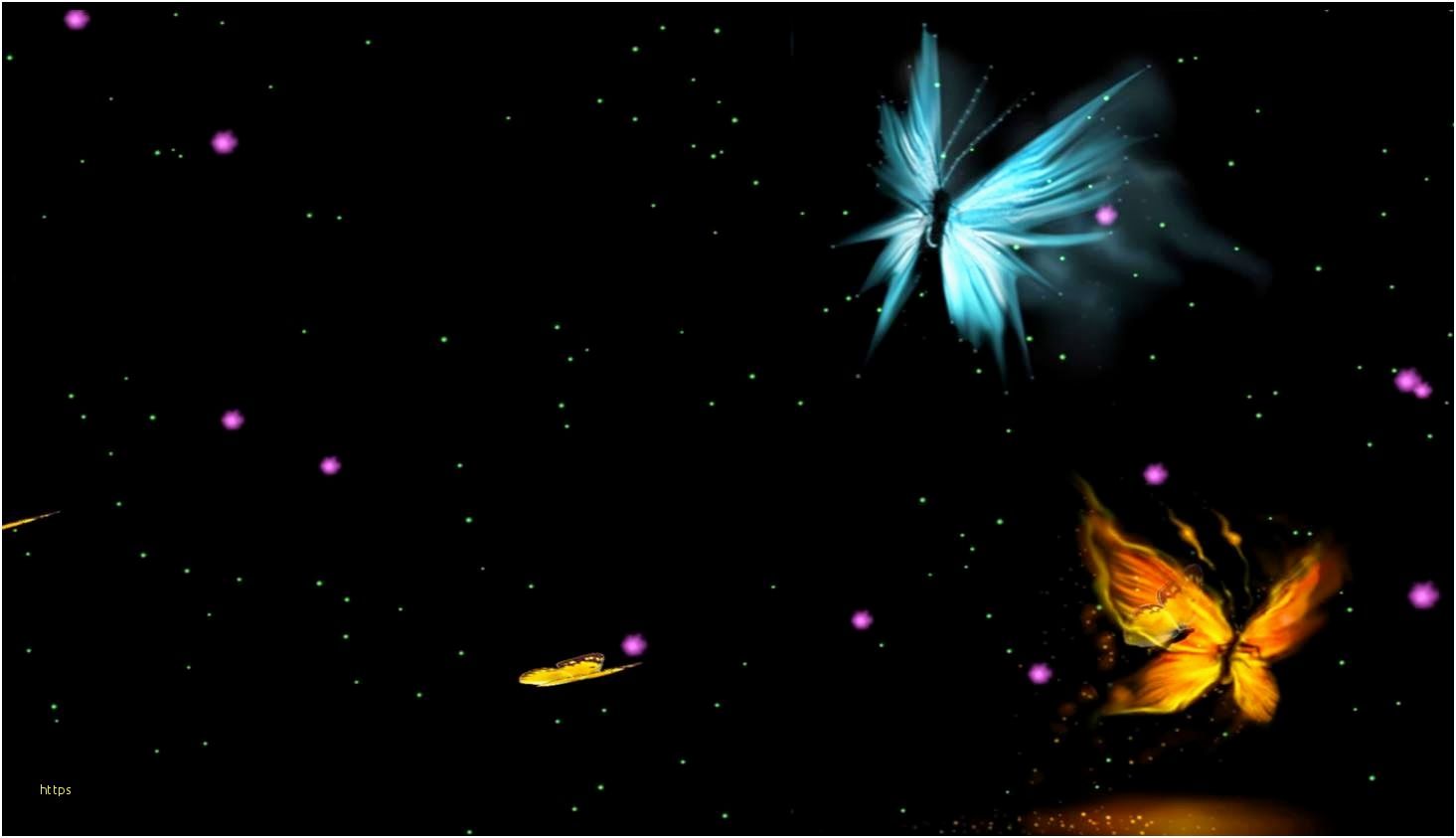 Farfalle luminose sfondo nero, 1465x843 720p, Laptop