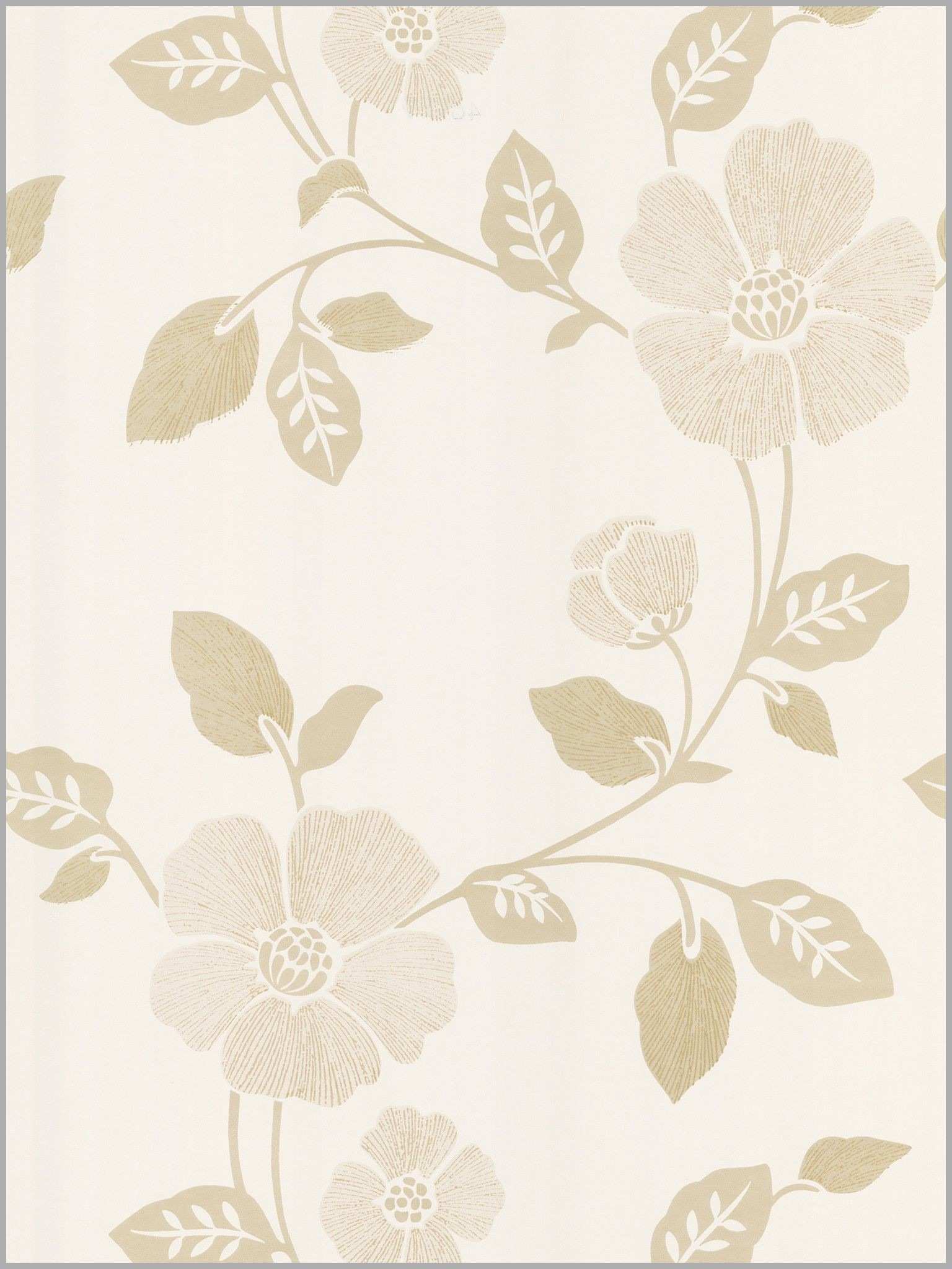 Fiori papaveri beige e crema, 1536x2048 Verticale, Mobile