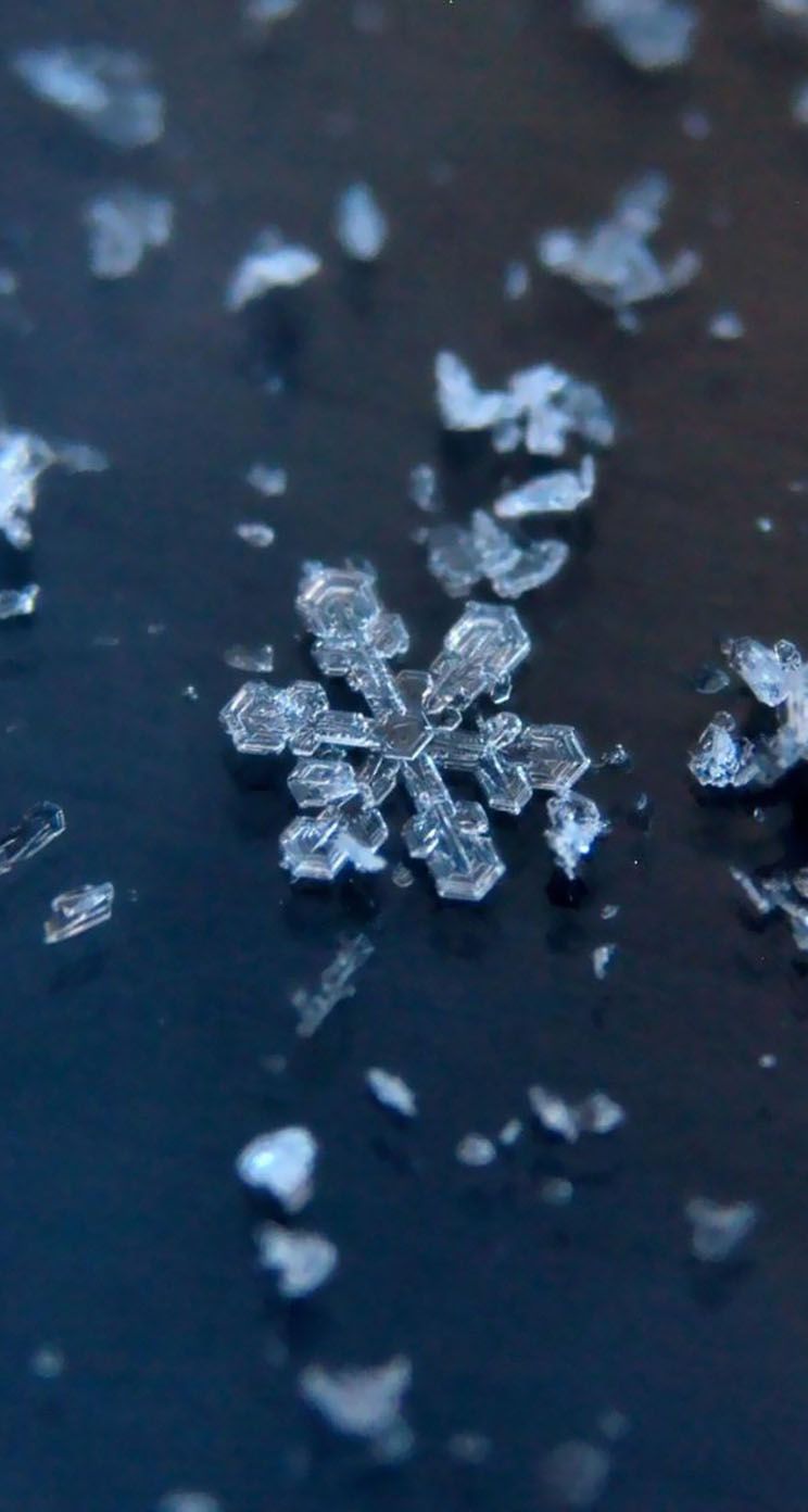 Fiocchi di neve blu scuro, 744x1392 Full HD Verticale, iPhone