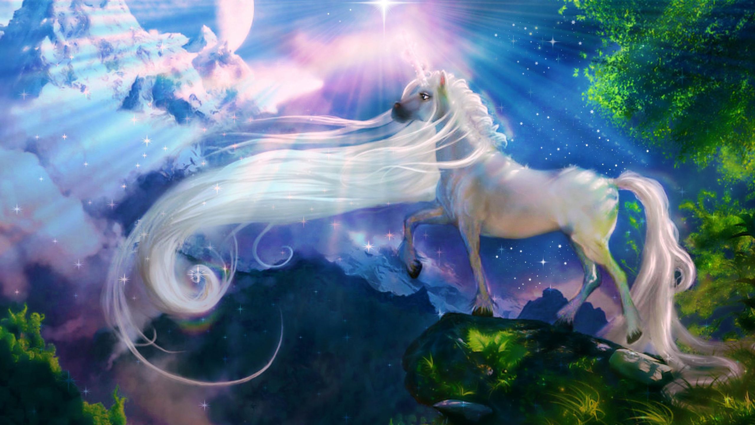 Unicorno bianco fantasy notturno, 2560x1440 2K QHD, PC