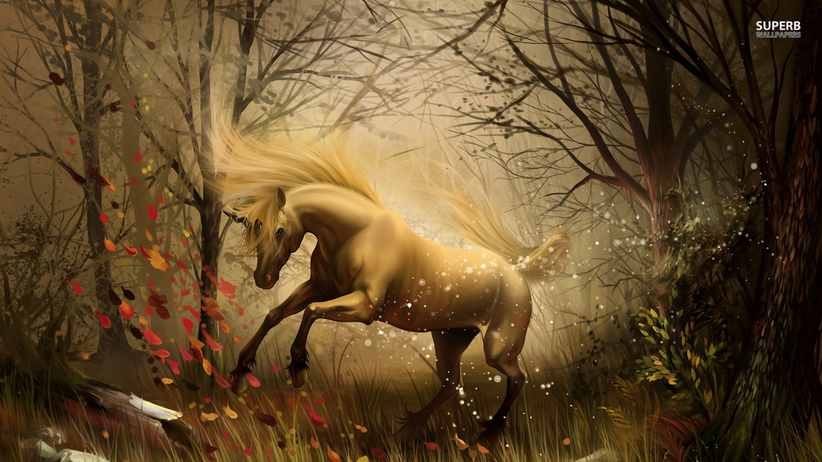 Unicorno dorato nella foresta, 1600x900 HD Ready, Desktop