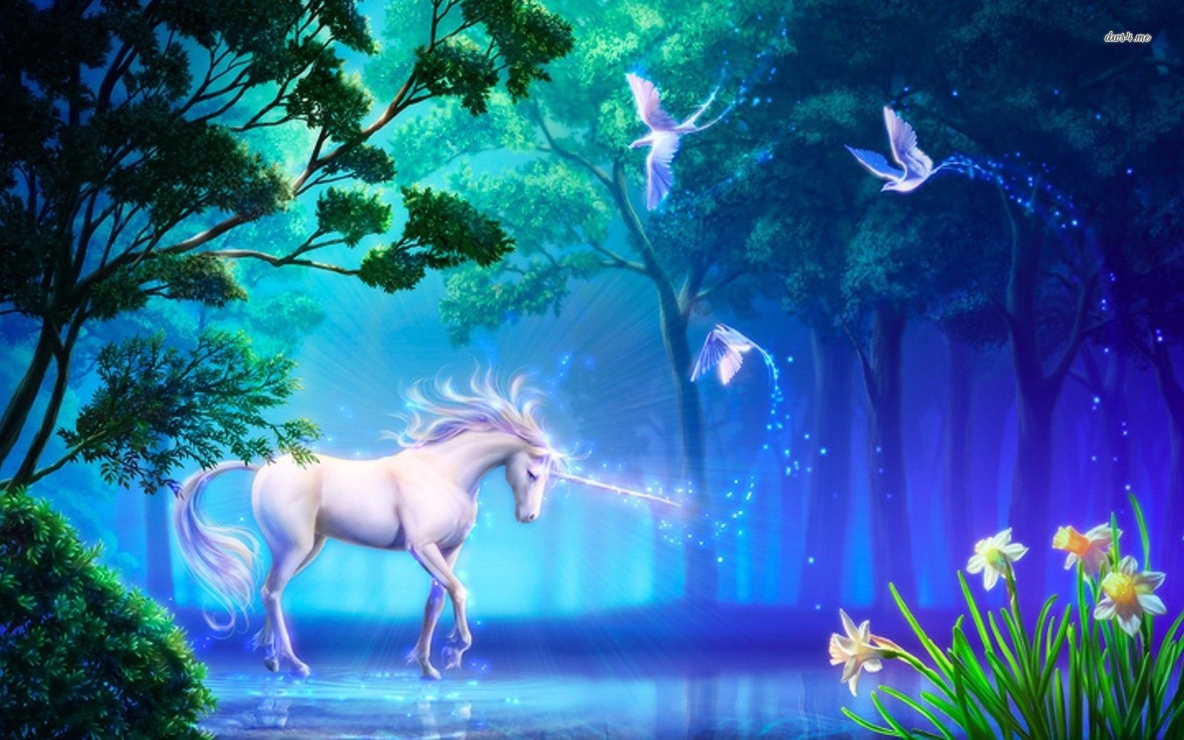 Unicorno bianco foresta magica, 1680x1050 900p, Desktop