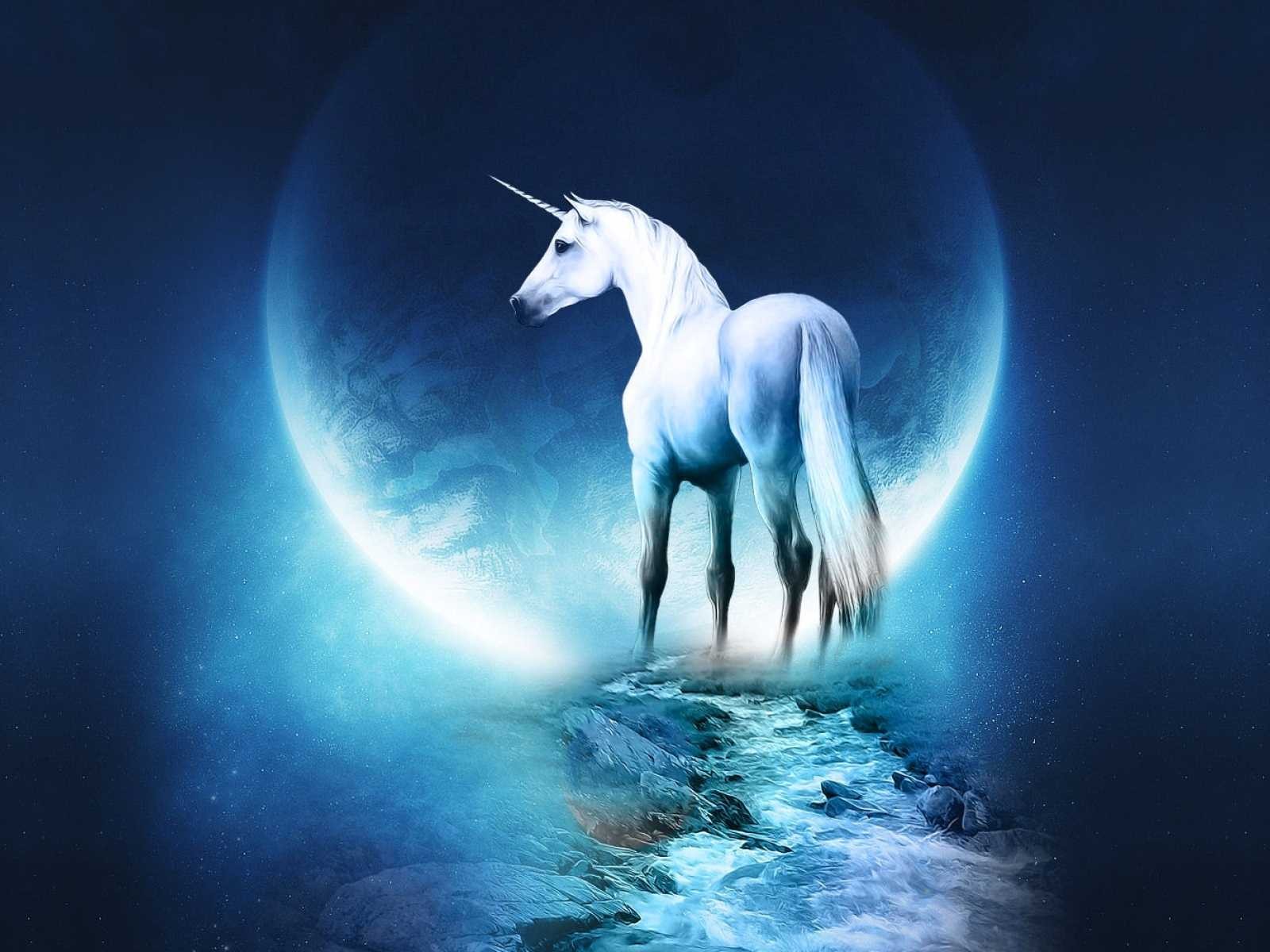 Unicorno bianco con luna blu, 1600x1200 HD Ready, Desktop