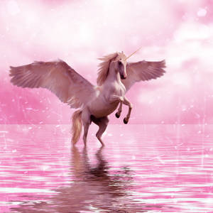 Unicorno alato rosa su acqua, 300x300 HD, Desktop