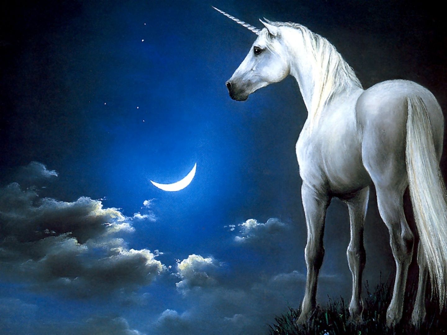 Unicorno bianco cielo notturno, 1440x1080 HD, Desktop
