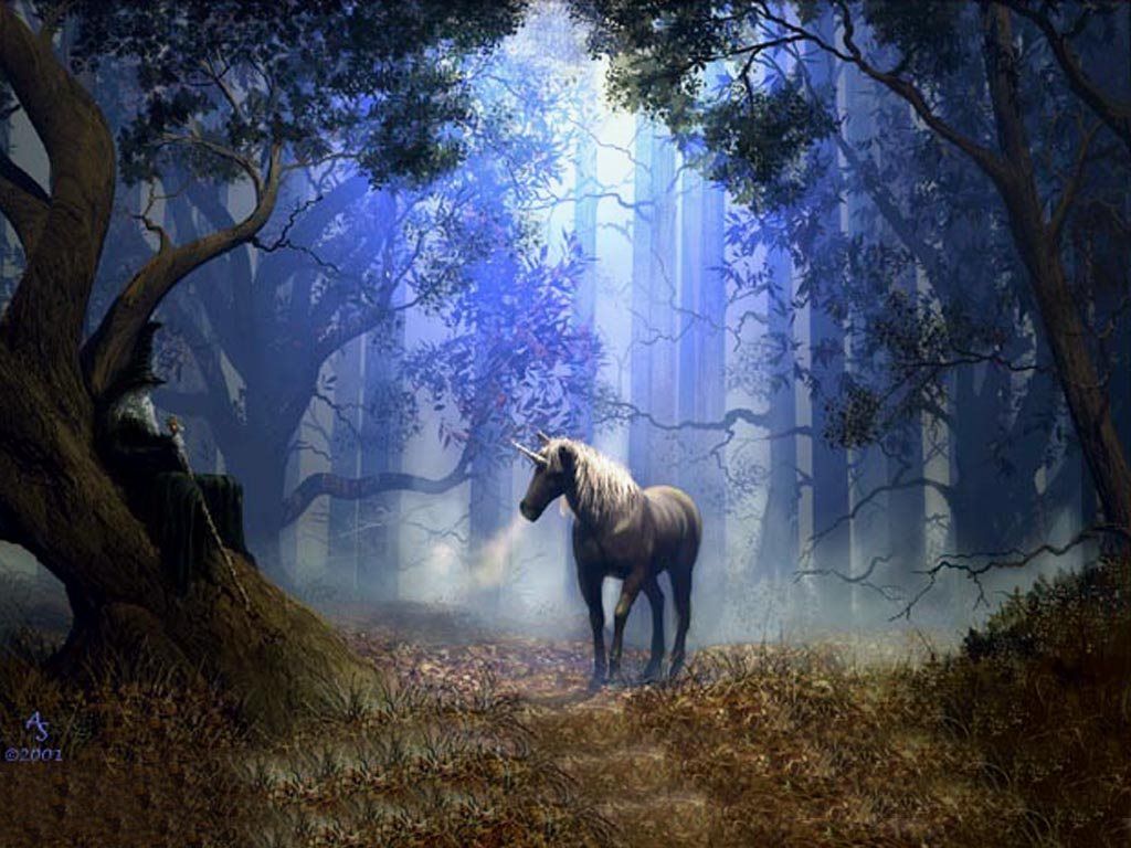 Unicorno nella foresta blu, 1024x768 HD, Desktop