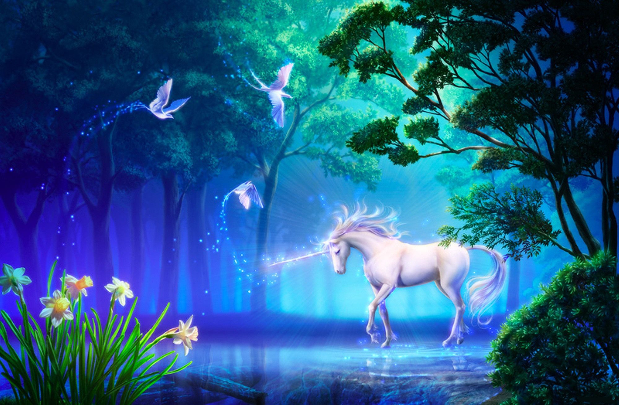 Unicorno bianco in foresta magica, 2000x1310 2K, iMac