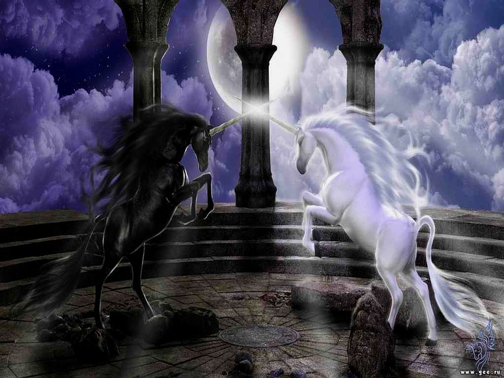Unicorno bianco fantasy notturno, 2629x1477 1440p, Desktop