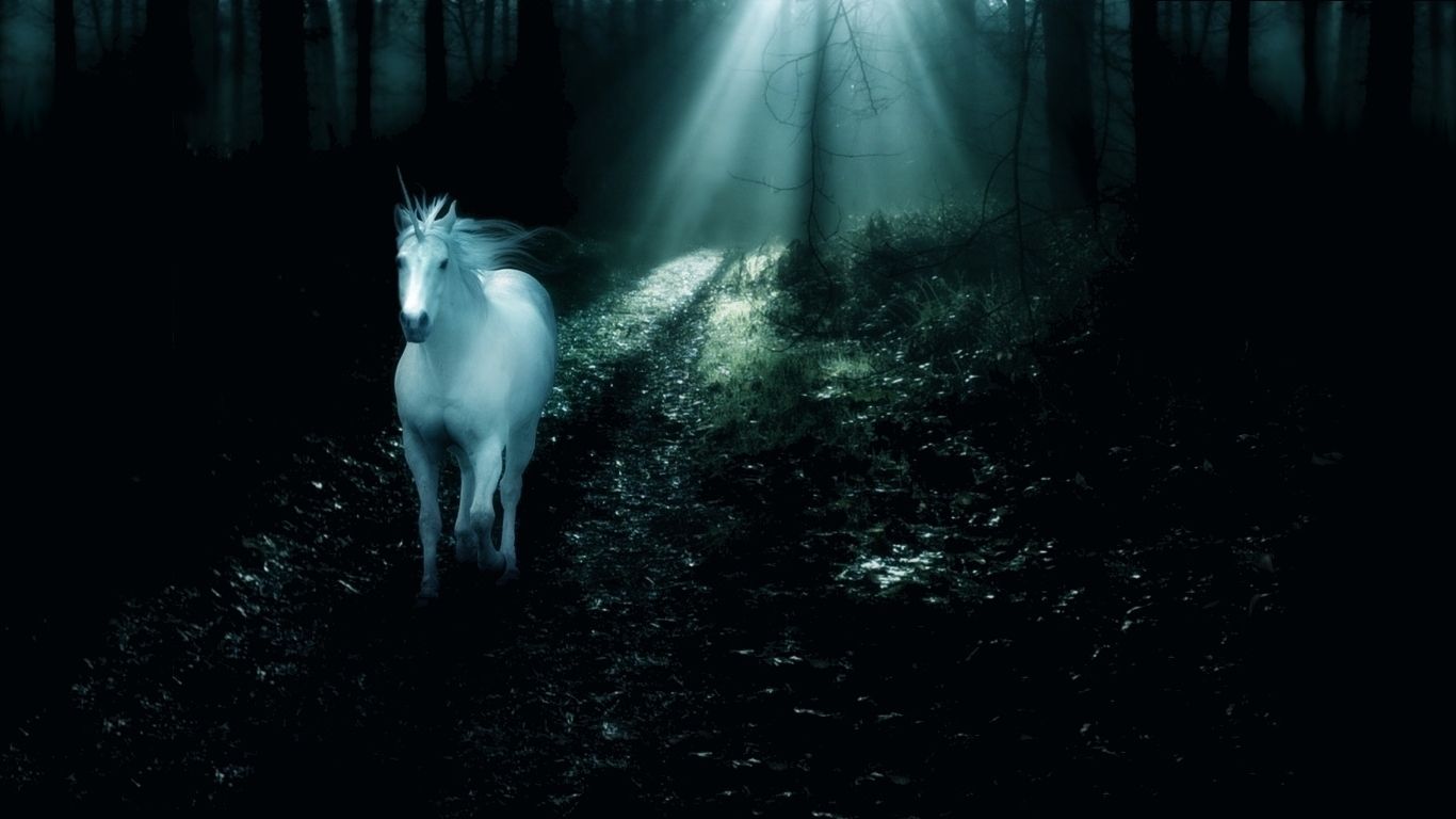 Unicorno bianco su nero, 1920x1080 Full HD 1080p, PC Desktop