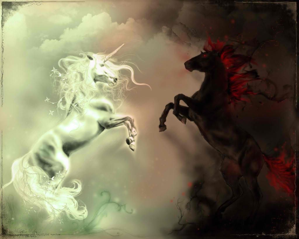 Unicorno bianco foresta magica, 1920x1080 Full HD 1080p, PC Desktop