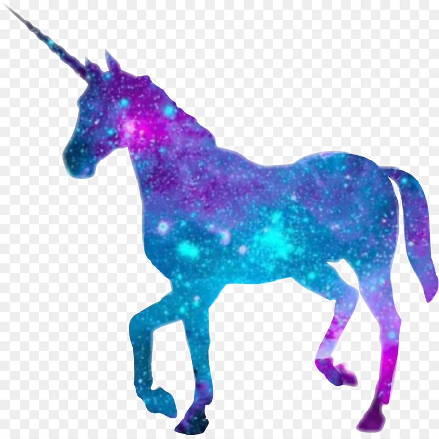 Cavallo bianco foresta scura, 1366x768 HD, PC Desktop