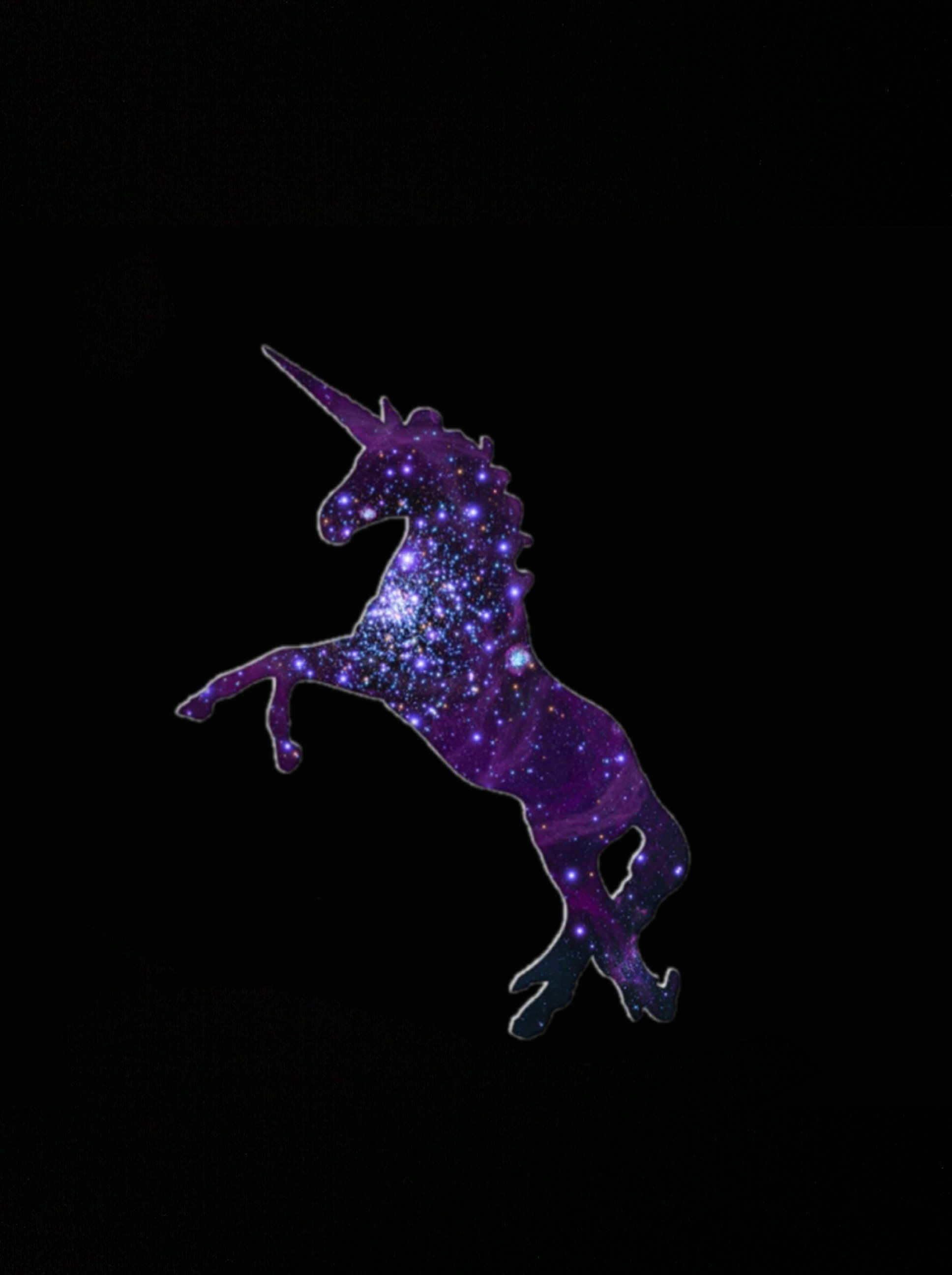 Unicorno bianco arcobaleno nero, 2560x1440 2K QHD, PC