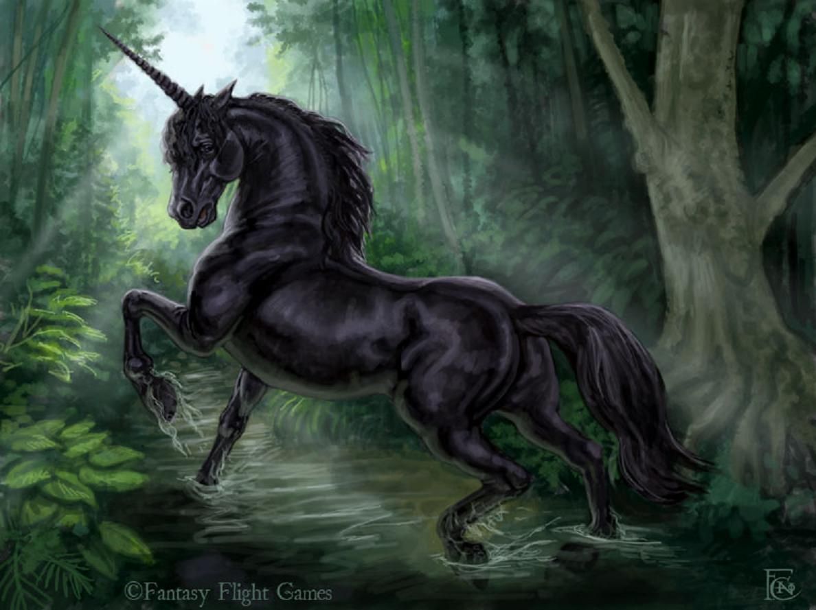 Unicorno nero nella foresta, 1188x889 HD, Desktop
