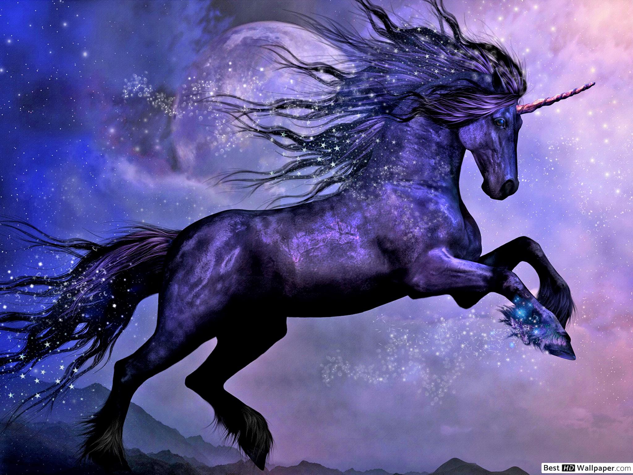Unicorno arcobaleno luminoso, 2048x2048 Hi-Res, iMac