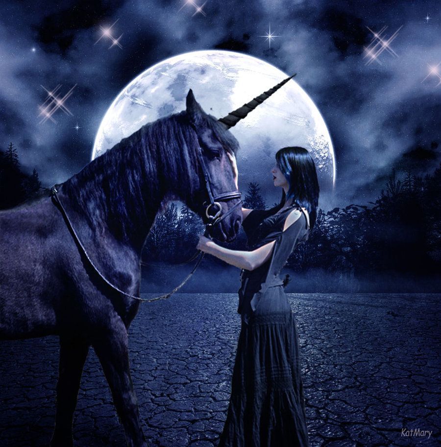 Unicorno nero e luna piena, 900x911 Verticale, Mobile