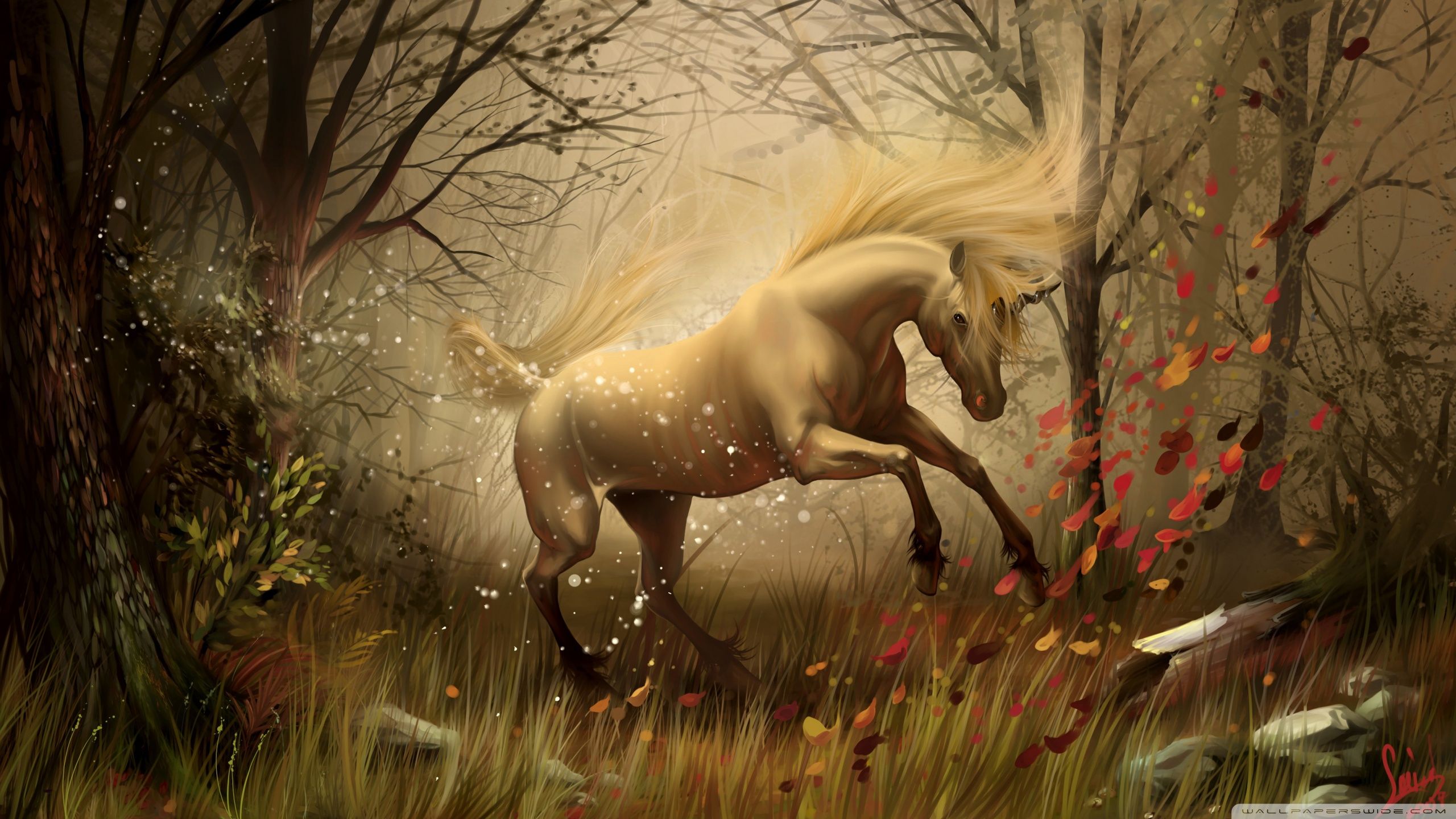 Unicorno bianco nella foresta autunnale, 2560x1440 2K QHD, PC