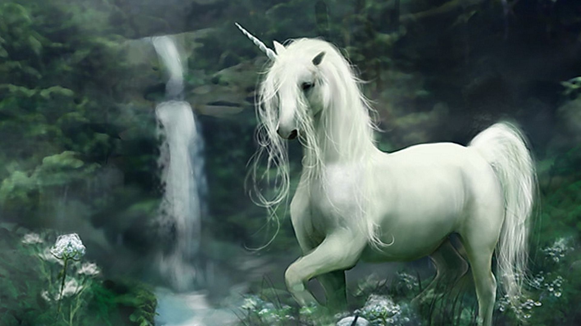 Fata con unicorno nel bosco, 1024x768 HD, Desktop