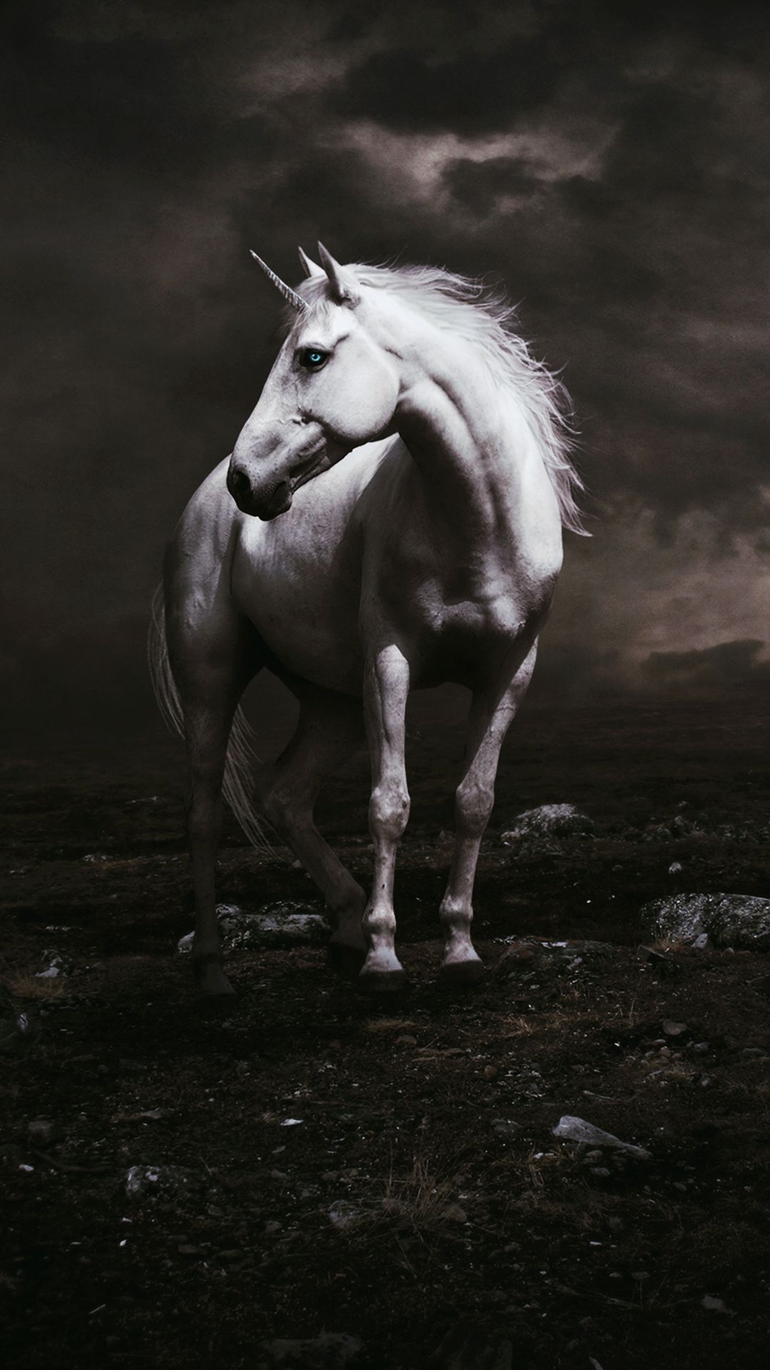 Unicorno carino con arcobaleno, 1080x1920 Verticale, Samsung Galaxy