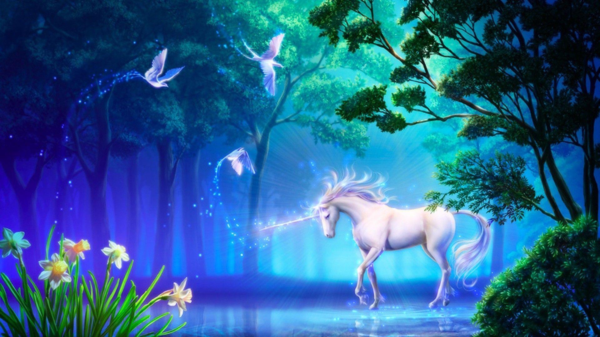 Unicorno in foresta magica, 1920x1080 Full HD 1080p, Desktop