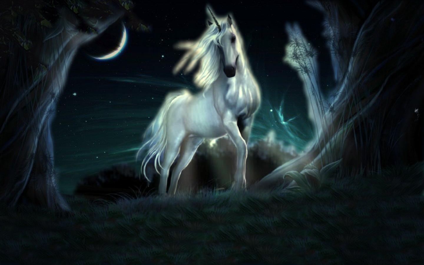 Unicorno bianco nella foresta notturna, 1440x900 720p, PC