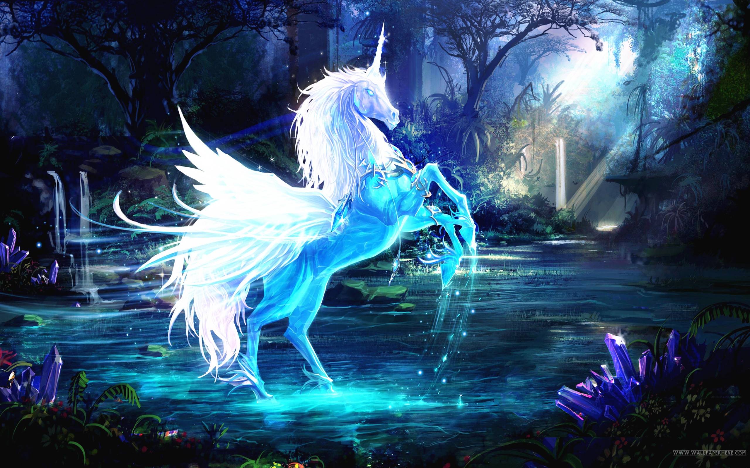 Unicorno bianco in foresta, 2560x1600 WQXGA, Desktop