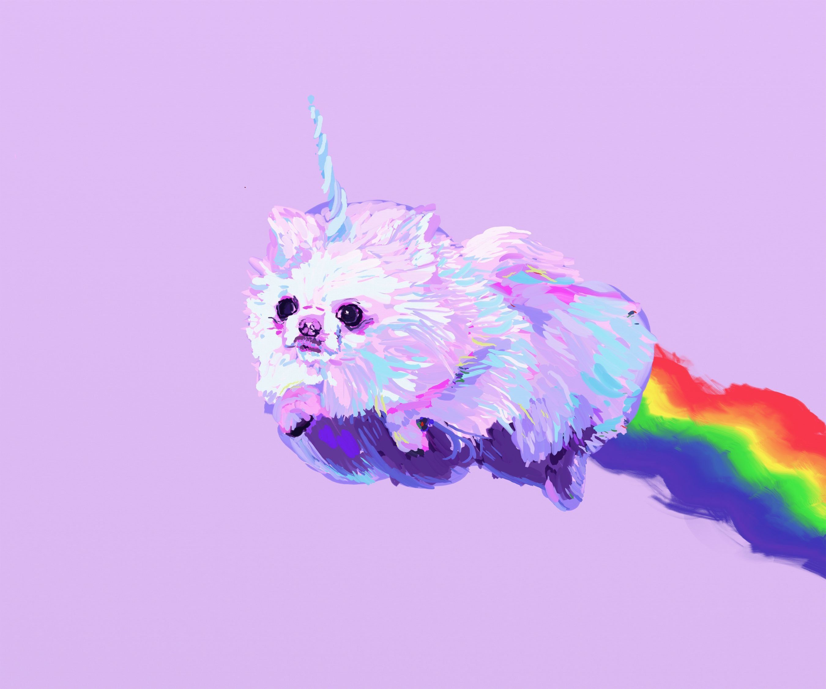 Cane unicorno con arcobaleno, 2700x2250 2K, PC Desktop