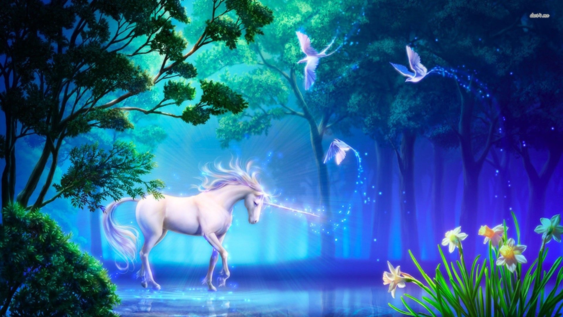 Unicorno bianco riflesso nell'acqua, 1920x1080 Full HD, Monitor Gaming