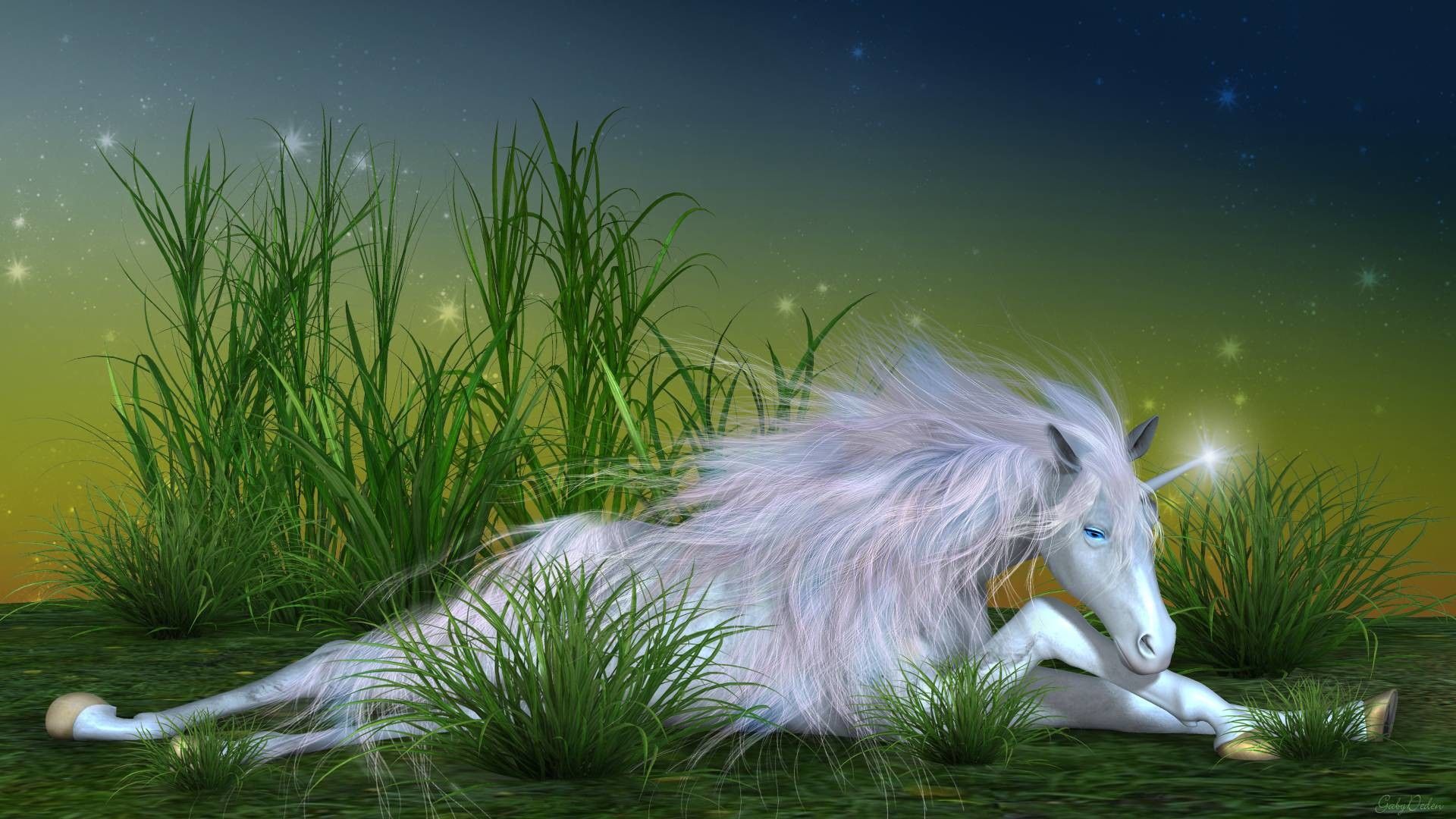 Unicorno bianco nella foresta magica, 1920x1080 1080p, PC Desktop