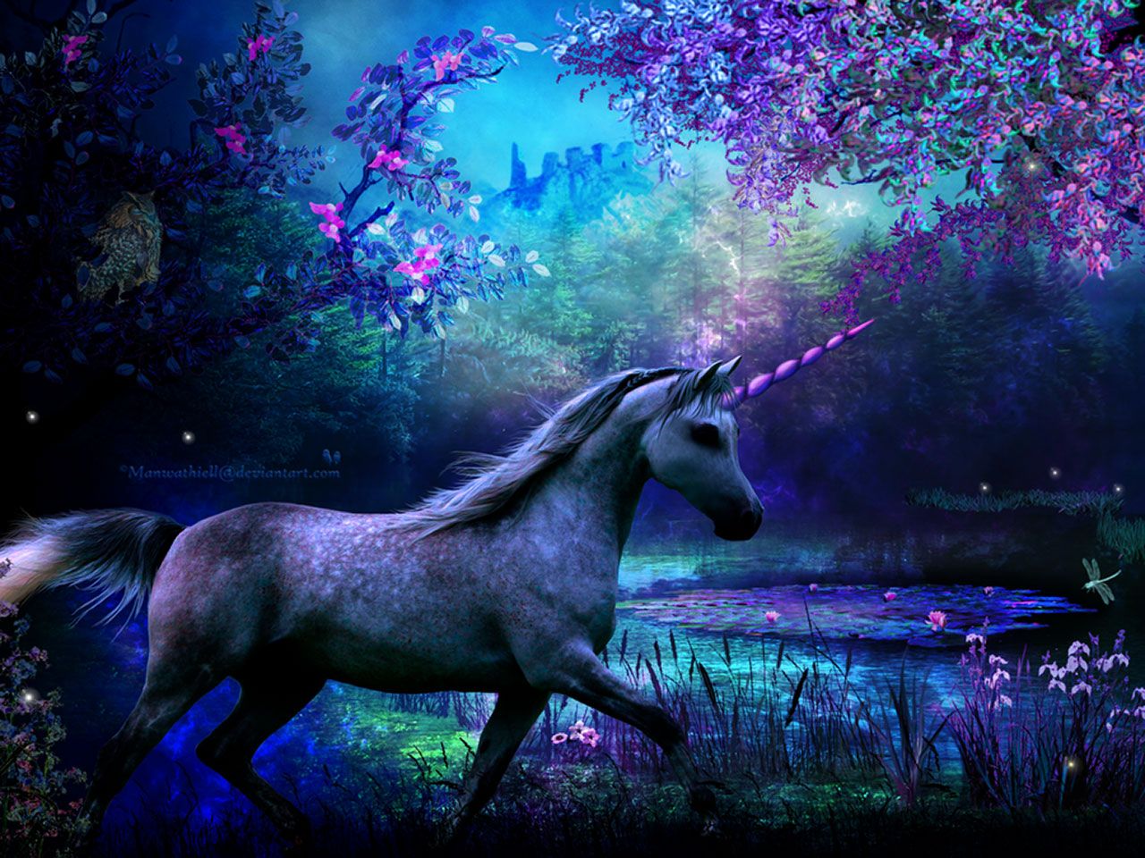Citazione unicorno sfondo rosa, 2500x1500 alta risoluzione, Desktop