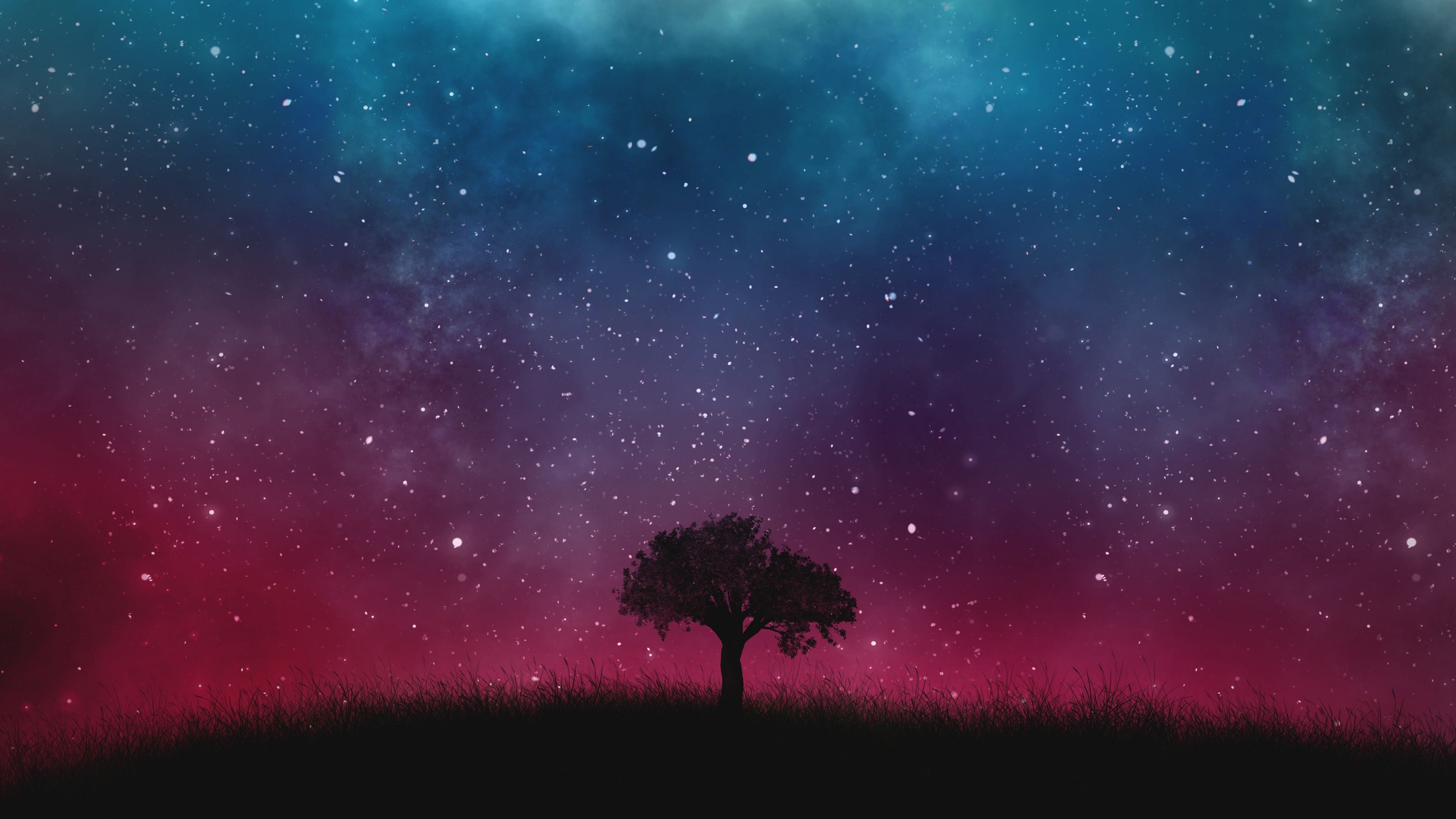 Albero silhouette cielo stellato, 3840x2160 4K Ultra HD, Monitor 4K