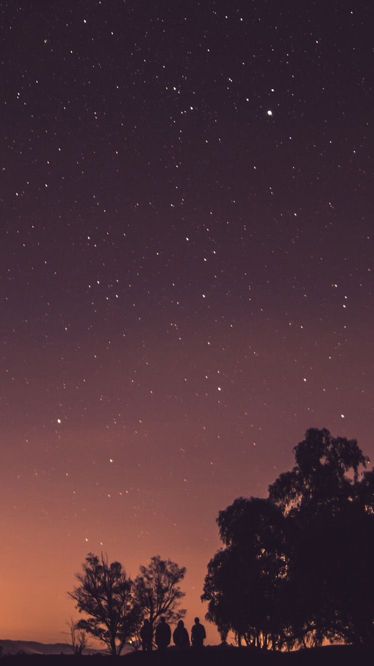 Cielo stellato con silhouette alberi, 750x1334 Full HD Verticale, iPhone Air